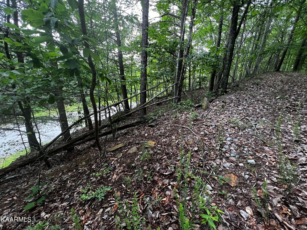 Photo of 964 Whistle Valley Road, Lot #233, New Tazewell, TN 37825 (MLS # 1231335)