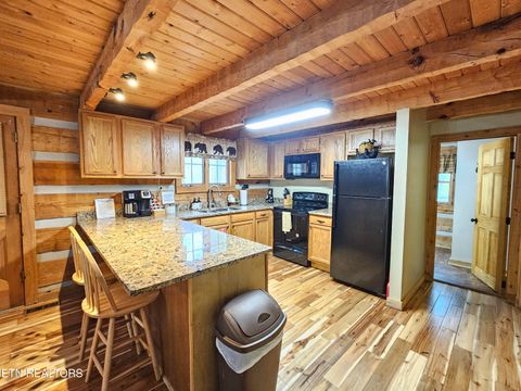 Tiny photo for 519 Picadilly Lane, Gatlinburg, TN 37738 (MLS # 1339294)
