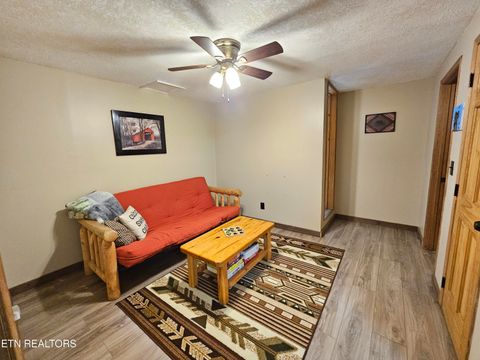 Tiny photo for 519 Picadilly Lane, Gatlinburg, TN 37738 (MLS # 1339294)