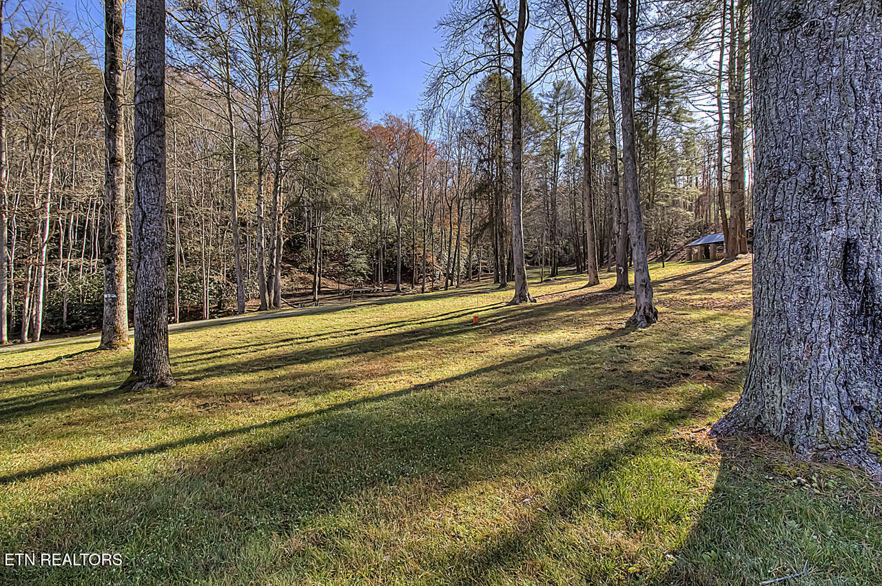 Walland, Tennessee, 37886, United States, 7 Bedrooms Bedrooms, ,6 BathroomsBathrooms,Residential,Active,2038159