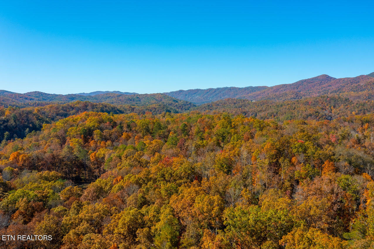 Walland, Tennessee, 37886, United States, 7 Bedrooms Bedrooms, ,6 BathroomsBathrooms,Residential,Active,2038159