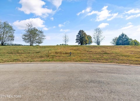 Tiny photo for 101 Sweet Tea St, Loudon, TN 37774 (MLS # 1359652)