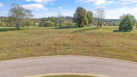 Tiny photo for 101 Sweet Tea St, Loudon, TN 37774 (MLS # 1359652)
