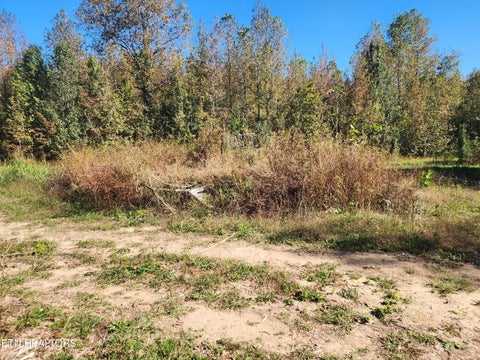Tiny photo for S Chamberlain Ave, Rockwood, TN 37854 (MLS # 1359950)