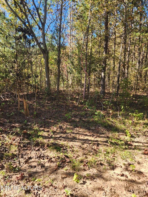 Tiny photo for S Chamberlain Ave, Rockwood, TN 37854 (MLS # 1359950)