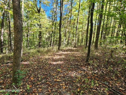 Tiny photo for S Chamberlain Ave, Rockwood, TN 37854 (MLS # 1359950)
