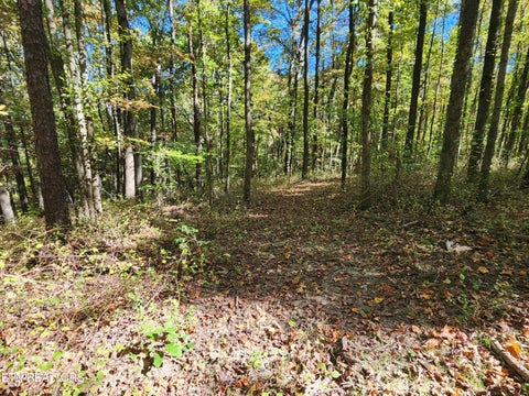 Tiny photo for S Chamberlain Ave, Rockwood, TN 37854 (MLS # 1359950)