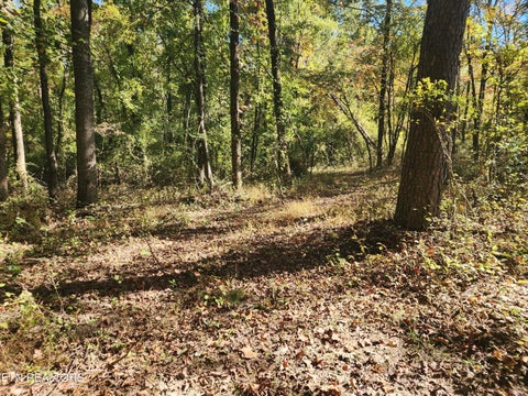 Tiny photo for S Chamberlain Ave, Rockwood, TN 37854 (MLS # 1359950)