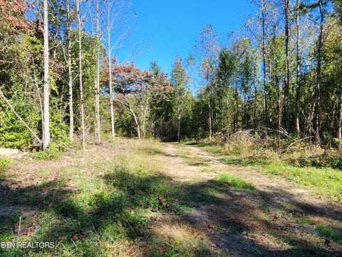 Tiny photo for S Chamberlain Ave, Rockwood, TN 37854 (MLS # 1359950)
