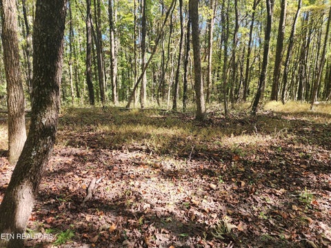 Tiny photo for S Chamberlain Ave, Rockwood, TN 37854 (MLS # 1359950)