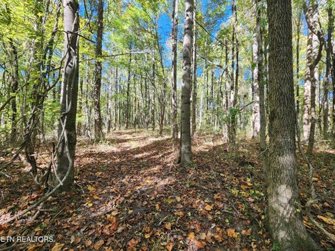 Tiny photo for S Chamberlain Ave, Rockwood, TN 37854 (MLS # 1359950)
