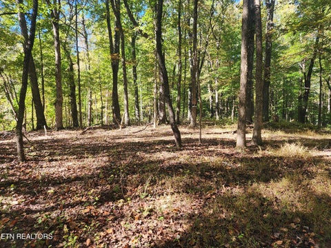 Tiny photo for S Chamberlain Ave, Rockwood, TN 37854 (MLS # 1359950)