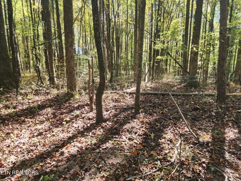 Tiny photo for S Chamberlain Ave, Rockwood, TN 37854 (MLS # 1359950)
