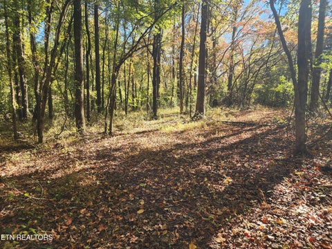Tiny photo for S Chamberlain Ave, Rockwood, TN 37854 (MLS # 1359950)