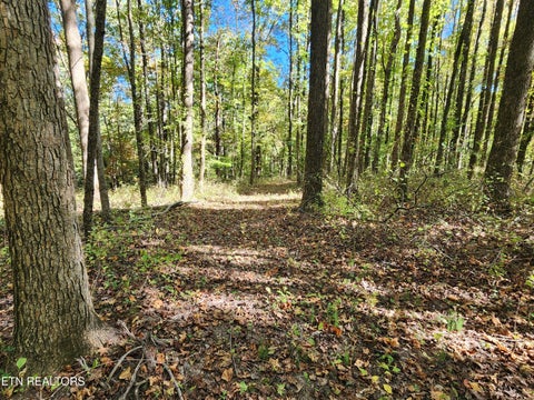 Tiny photo for S Chamberlain Ave, Rockwood, TN 37854 (MLS # 1359950)