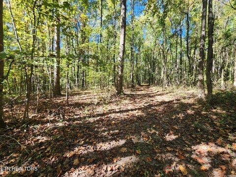 Tiny photo for S Chamberlain Ave, Rockwood, TN 37854 (MLS # 1359950)