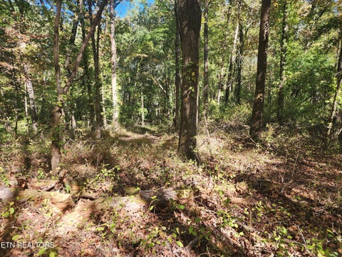 Tiny photo for S Chamberlain Ave, Rockwood, TN 37854 (MLS # 1359950)