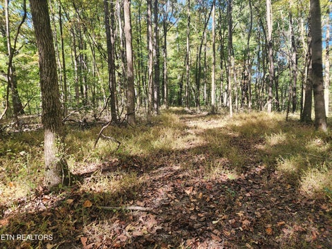 Tiny photo for S Chamberlain Ave, Rockwood, TN 37854 (MLS # 1359950)