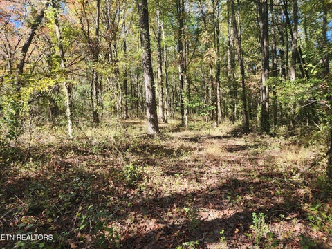 Tiny photo for S Chamberlain Ave, Rockwood, TN 37854 (MLS # 1359950)