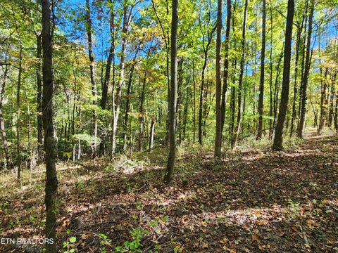 Tiny photo for S Chamberlain Ave, Rockwood, TN 37854 (MLS # 1359950)