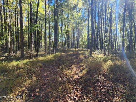 Tiny photo for S Chamberlain Ave, Rockwood, TN 37854 (MLS # 1359950)