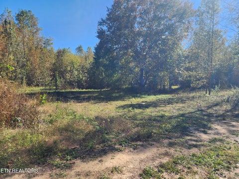 Tiny photo for S Chamberlain Ave, Rockwood, TN 37854 (MLS # 1359950)