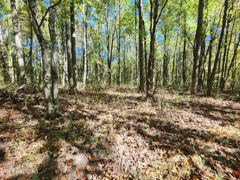 Tiny photo for S Chamberlain Ave, Rockwood, TN 37854 (MLS # 1359950)