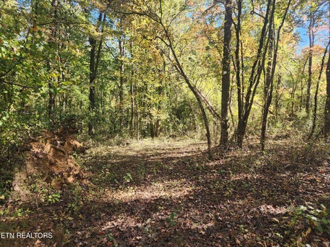 Tiny photo for S Chamberlain Ave, Rockwood, TN 37854 (MLS # 1359950)