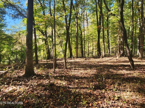 Photo of S Chamberlain Ave, Rockwood, TN 37854 (MLS # 1359950)