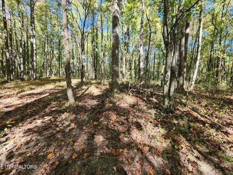 Tiny photo for S Chamberlain Ave, Rockwood, TN 37854 (MLS # 1359950)