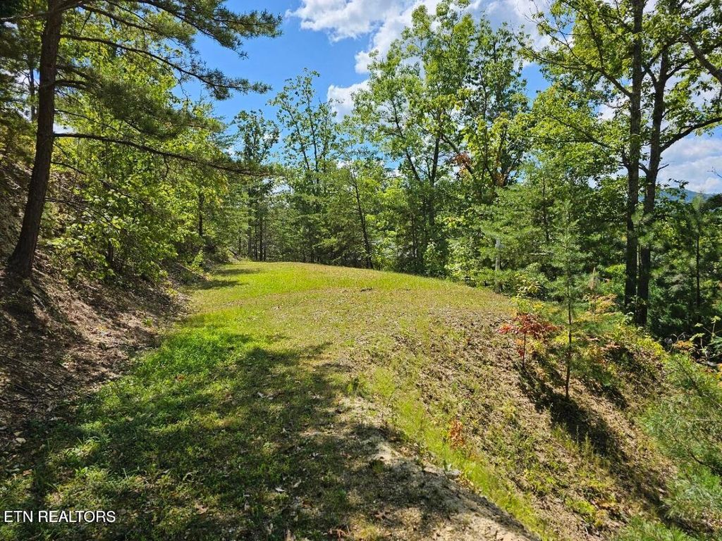 Photo of 9 Village Circle, Sevierville, TN 37862 (MLS # 1316055)