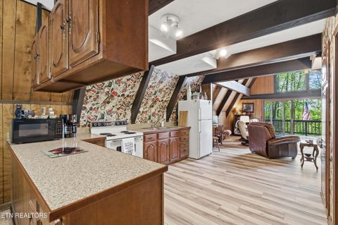 Tiny photo for 313 Domar Drive, Townsend, TN 37882 (MLS # 1338483)