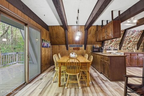 Tiny photo for 313 Domar Drive, Townsend, TN 37882 (MLS # 1338483)