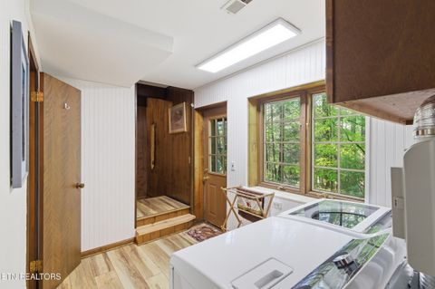 Tiny photo for 313 Domar Drive, Townsend, TN 37882 (MLS # 1338483)
