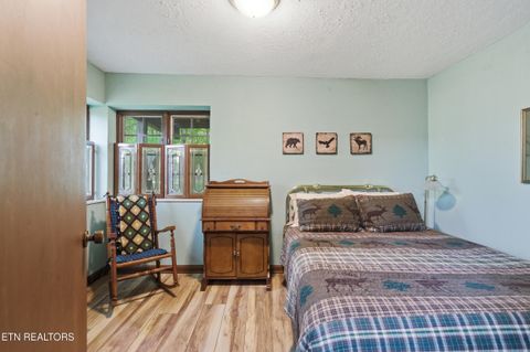 Tiny photo for 313 Domar Drive, Townsend, TN 37882 (MLS # 1338483)