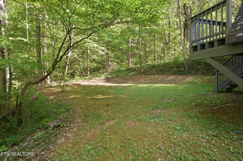 Tiny photo for 313 Domar Drive, Townsend, TN 37882 (MLS # 1338483)