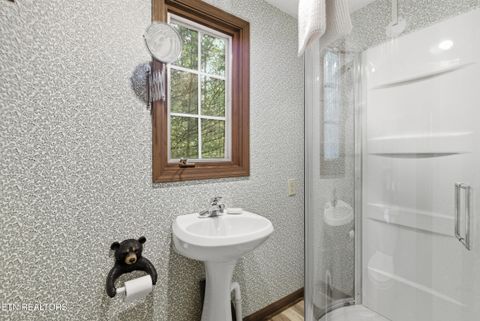 Tiny photo for 313 Domar Drive, Townsend, TN 37882 (MLS # 1338483)
