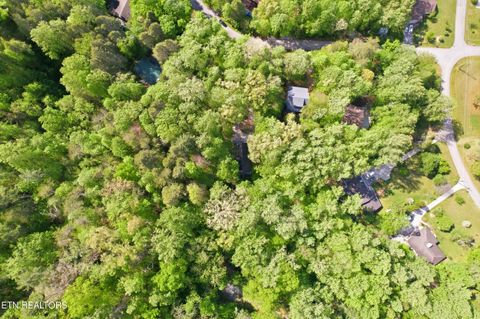 Tiny photo for 313 Domar Drive, Townsend, TN 37882 (MLS # 1338483)