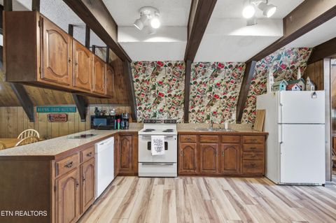 Tiny photo for 313 Domar Drive, Townsend, TN 37882 (MLS # 1338483)