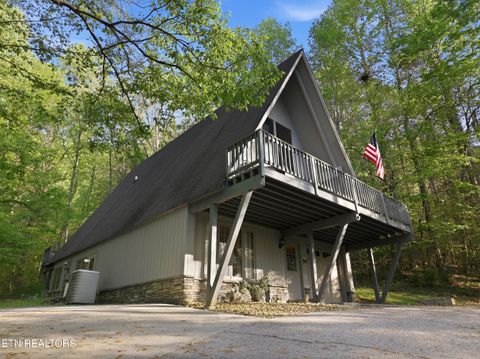Tiny photo for 313 Domar Drive, Townsend, TN 37882 (MLS # 1338483)