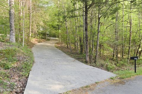Tiny photo for 313 Domar Drive, Townsend, TN 37882 (MLS # 1338483)