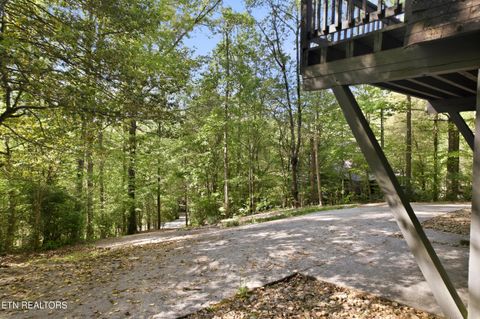 Tiny photo for 313 Domar Drive, Townsend, TN 37882 (MLS # 1338483)