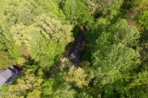 Tiny photo for 313 Domar Drive, Townsend, TN 37882 (MLS # 1338483)