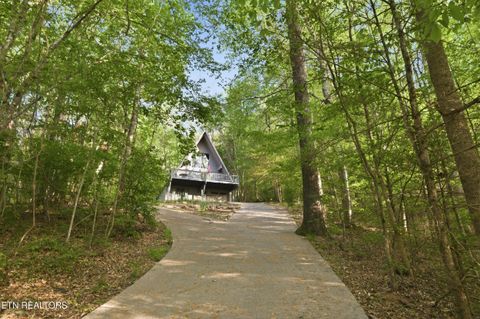 Tiny photo for 313 Domar Drive, Townsend, TN 37882 (MLS # 1338483)