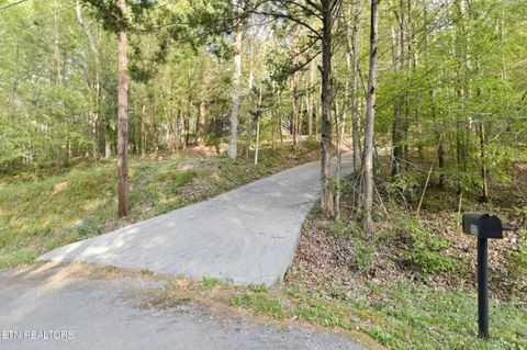 Tiny photo for 313 Domar Drive, Townsend, TN 37882 (MLS # 1338483)