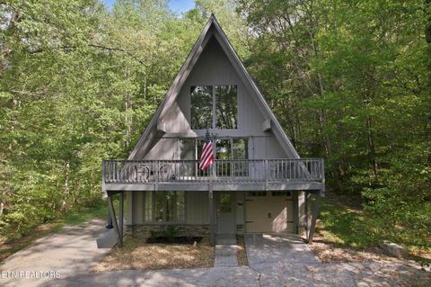 Photo of 313 Domar Drive, Townsend, TN 37882 (MLS # 1338483)