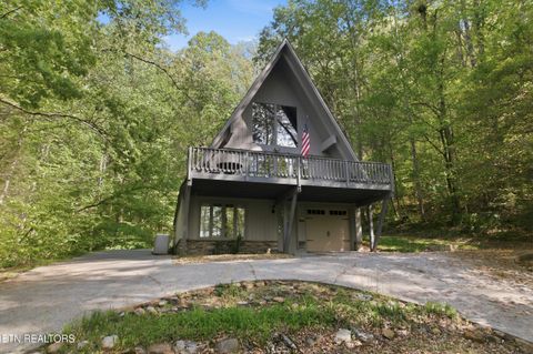 Tiny photo for 313 Domar Drive, Townsend, TN 37882 (MLS # 1338483)