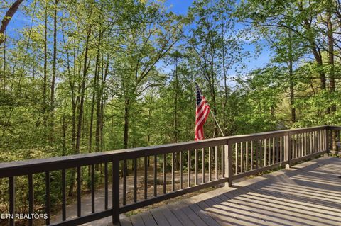 Tiny photo for 313 Domar Drive, Townsend, TN 37882 (MLS # 1338483)
