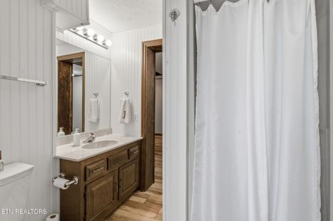 Tiny photo for 313 Domar Drive, Townsend, TN 37882 (MLS # 1338483)