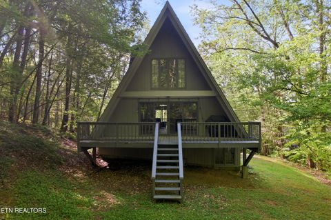 Tiny photo for 313 Domar Drive, Townsend, TN 37882 (MLS # 1338483)